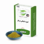 ادویه کنتاکی نرمال 100گرم دست پز