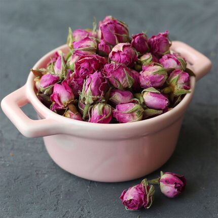 غنچه گل محمدی
